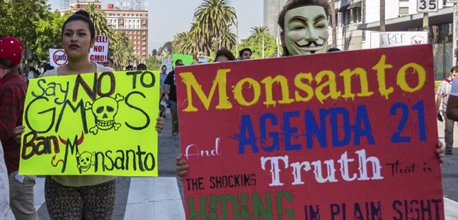 Manifestación en contra de Monsanto en Los Ángeles (EE UU) el año 2013 / Foto: br-photo