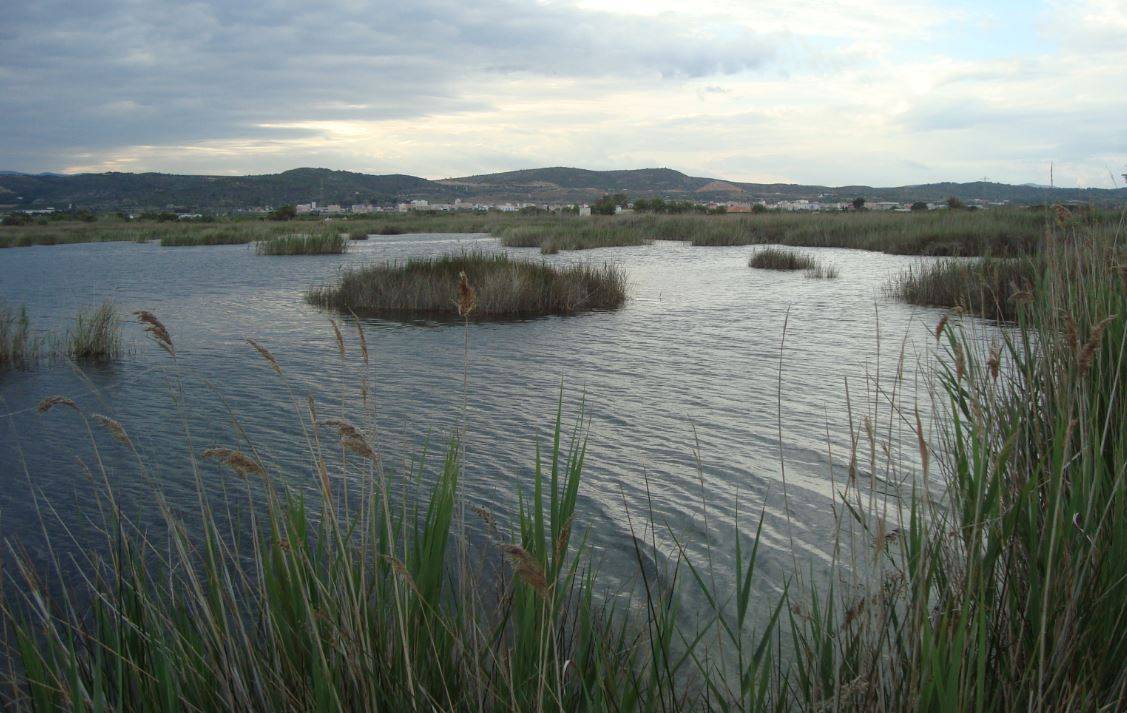 Humedal del Prado de Cabanes-Torreblanca, una zona de humedales de gran valor paisajístico / Foto:  Juan Emilio Prades Bel