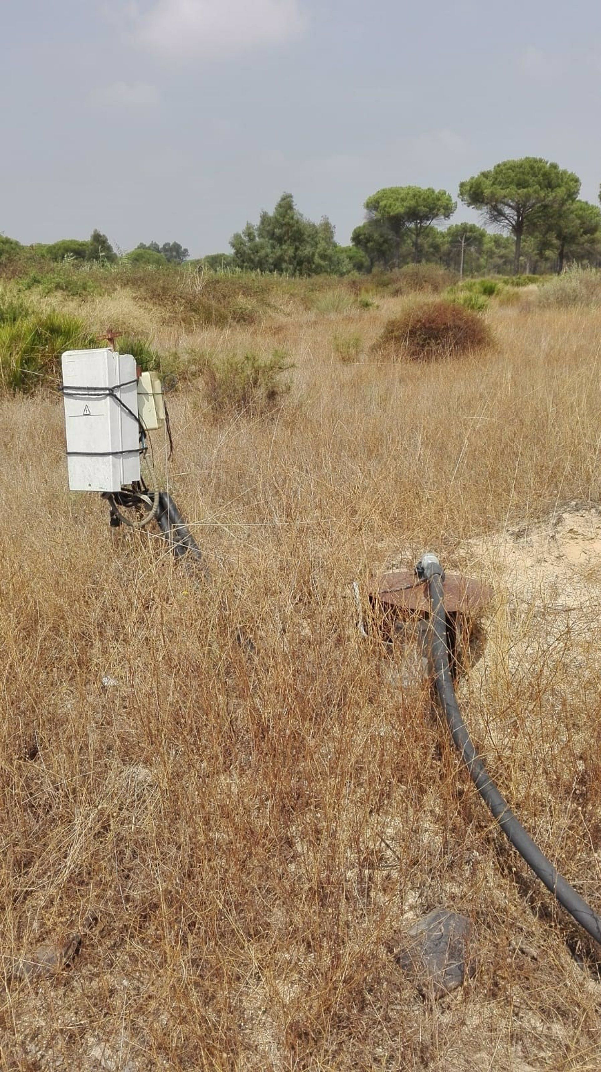 Uno de los posibles pozos ilegales de los que se proponen su cierre en Doñana / Foto: EP