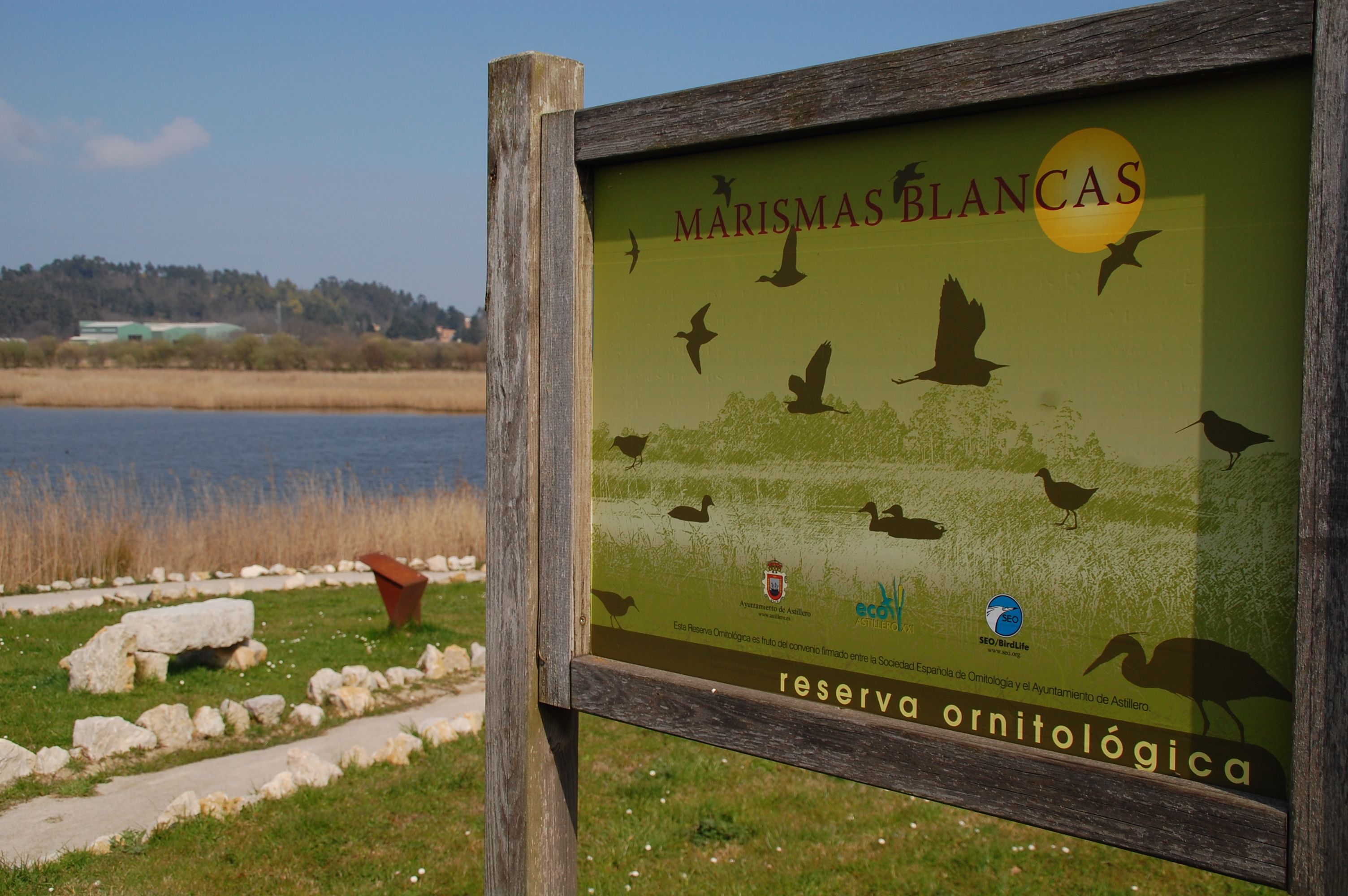 Las Marismas de Astillero declaradas Área Natural de Especial Interés / Foto: SEO/BirdLife