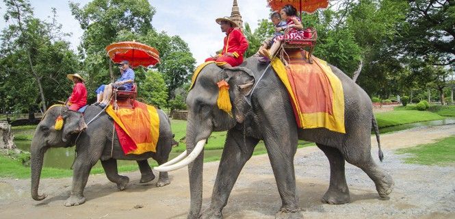 Los paseos en elefante tienen mucho éxito entre los viajeros en Asia / Foto: Supit_ch