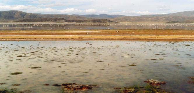 En enero, desaparecía uno de los humedales más importantes de la región / Foto: Olivier Hodac