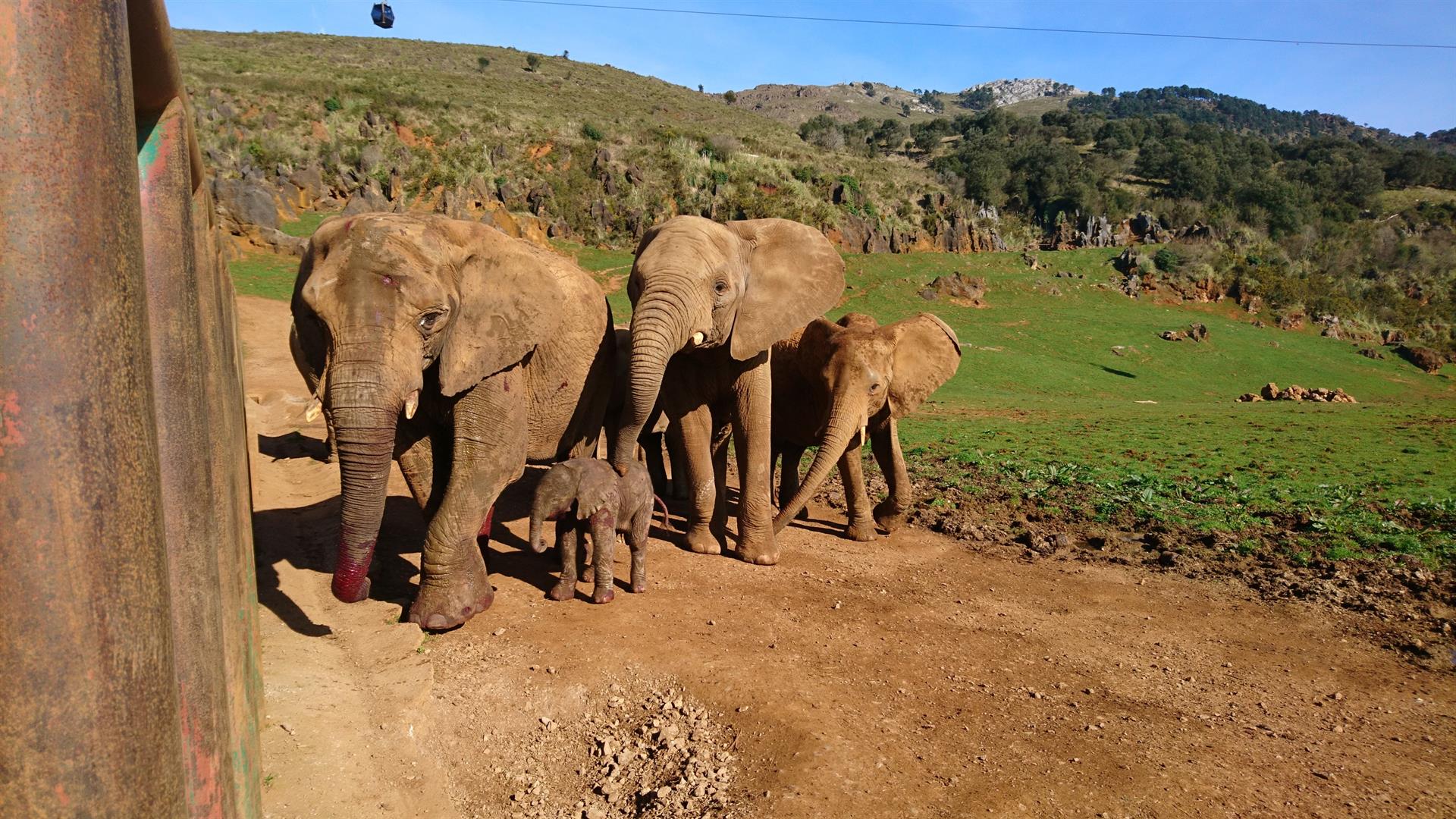 Recinto de elefantes del Parque de la naturaleza de Cabárceno (Cantabria) / Foto: EP