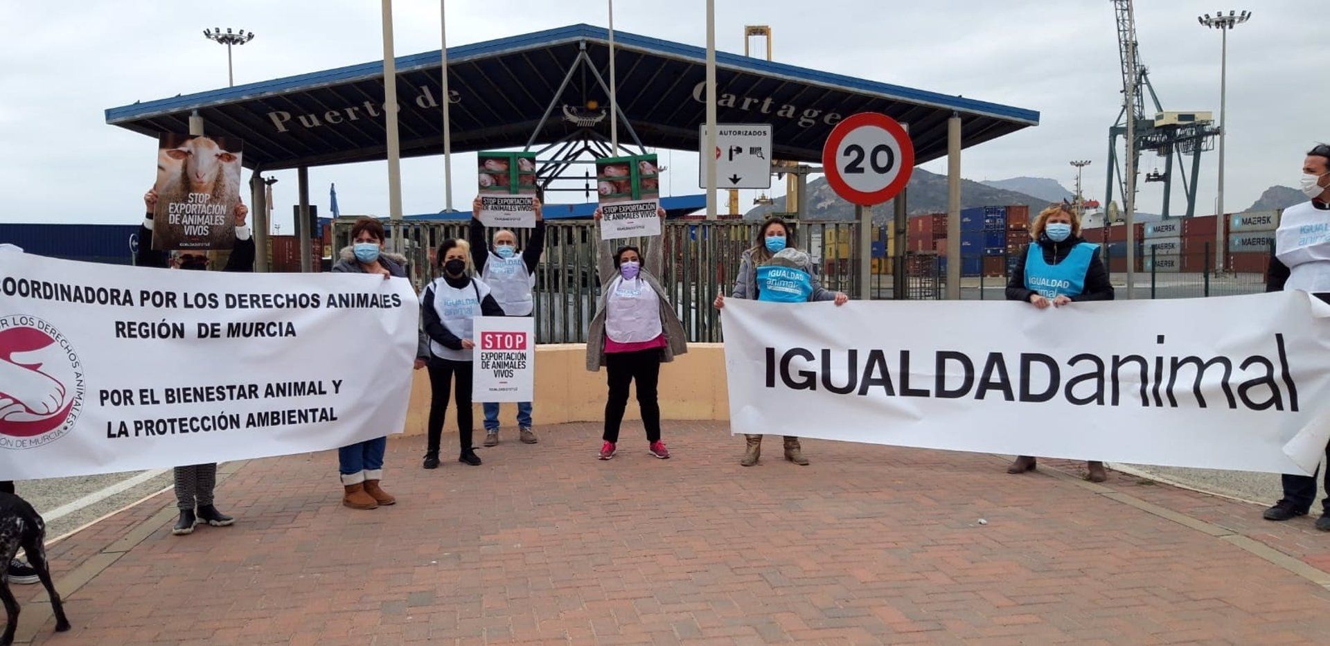 Protesta en el Puerto de Cartagena contra la exportación de animales vivos / Foto: EP