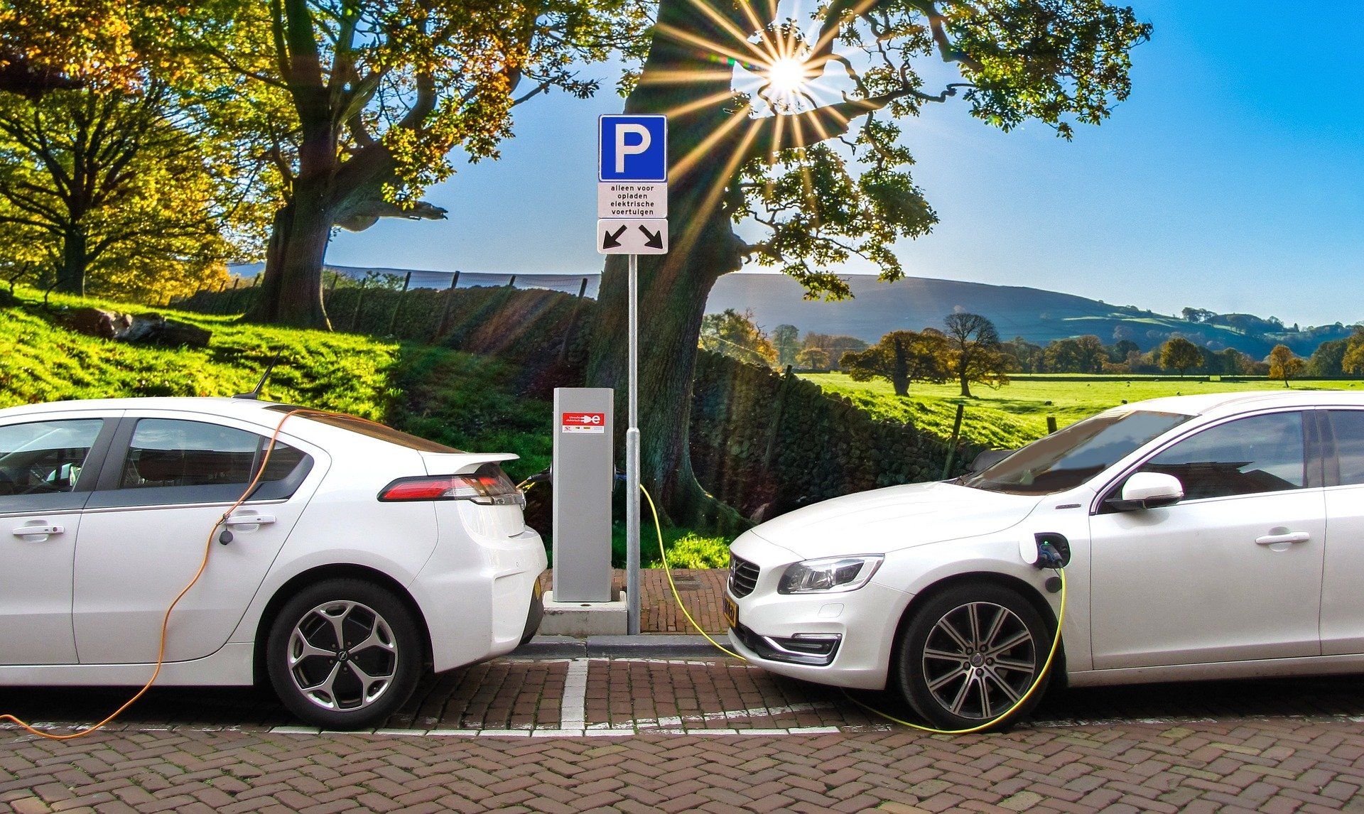 Los automóviles eléctricos necesitan "mucha menos materia prima" que los modelos de combustión interna / Foto: Joenomias - Pixabay
