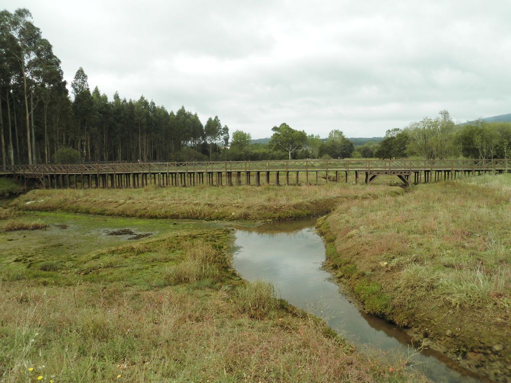 Regeneración ambiental ante el cambio climático de las marismas de A Xunqueira do Areal de la demarcación de Costas de Galicia (MITERD) / Foto: MITECO