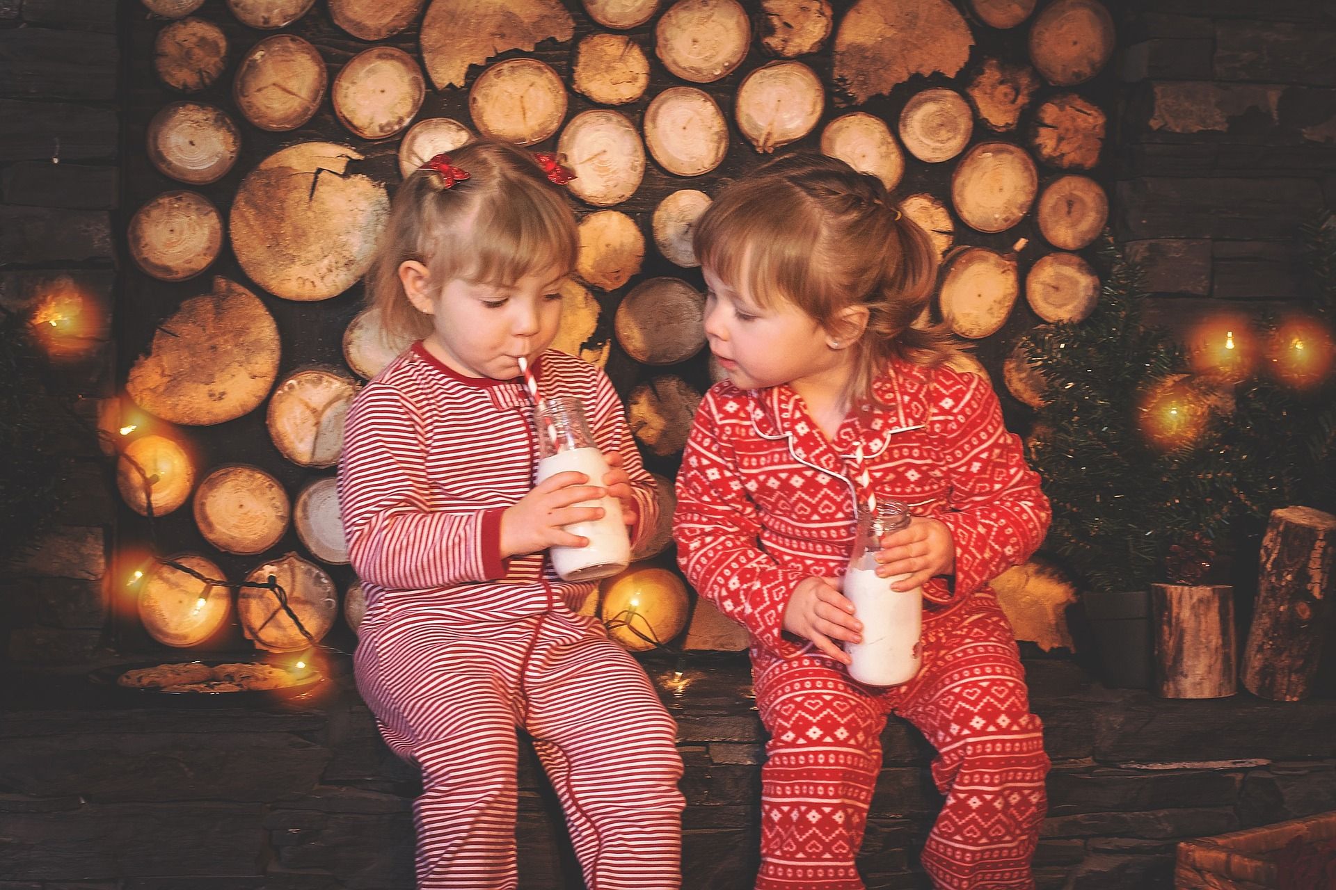 La leche idónea es la natural sin azúcar, ni edulcorantes, y con toda su grasa / Foto: Candice Rose - Pixabay