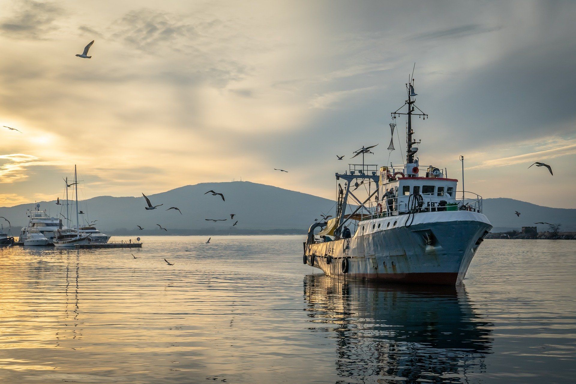 Un embarcación para la pesca /  Foto: Christo Anestev - Pixabay