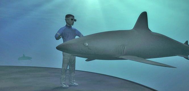 Recreación de la experiencia virtual de nadar en el mar entre tiburones / Foto: eZoo