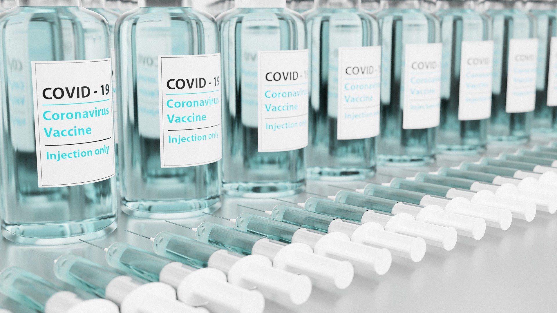 Alianza por la Solidaridad pide la liberación de patentes  de las vacunas Covid-19 / Foto: Pixabay