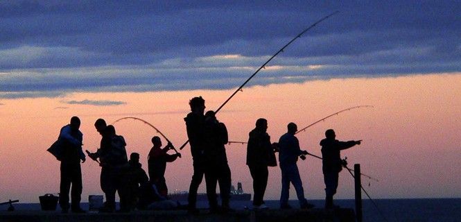 El colectivo de pescadores ha recibido con críticas la decisión judicial que prohibe no matar algunas especies de peces invasoras / Foto: Francis Hannaway - Wikipedia