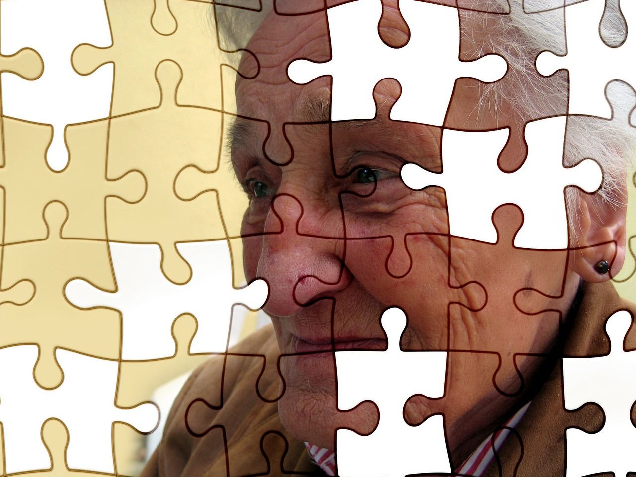 La demencia se puede prevenir o retrasar pero no se pueden curar / Foto: Gerd Altmann - Pixabay
