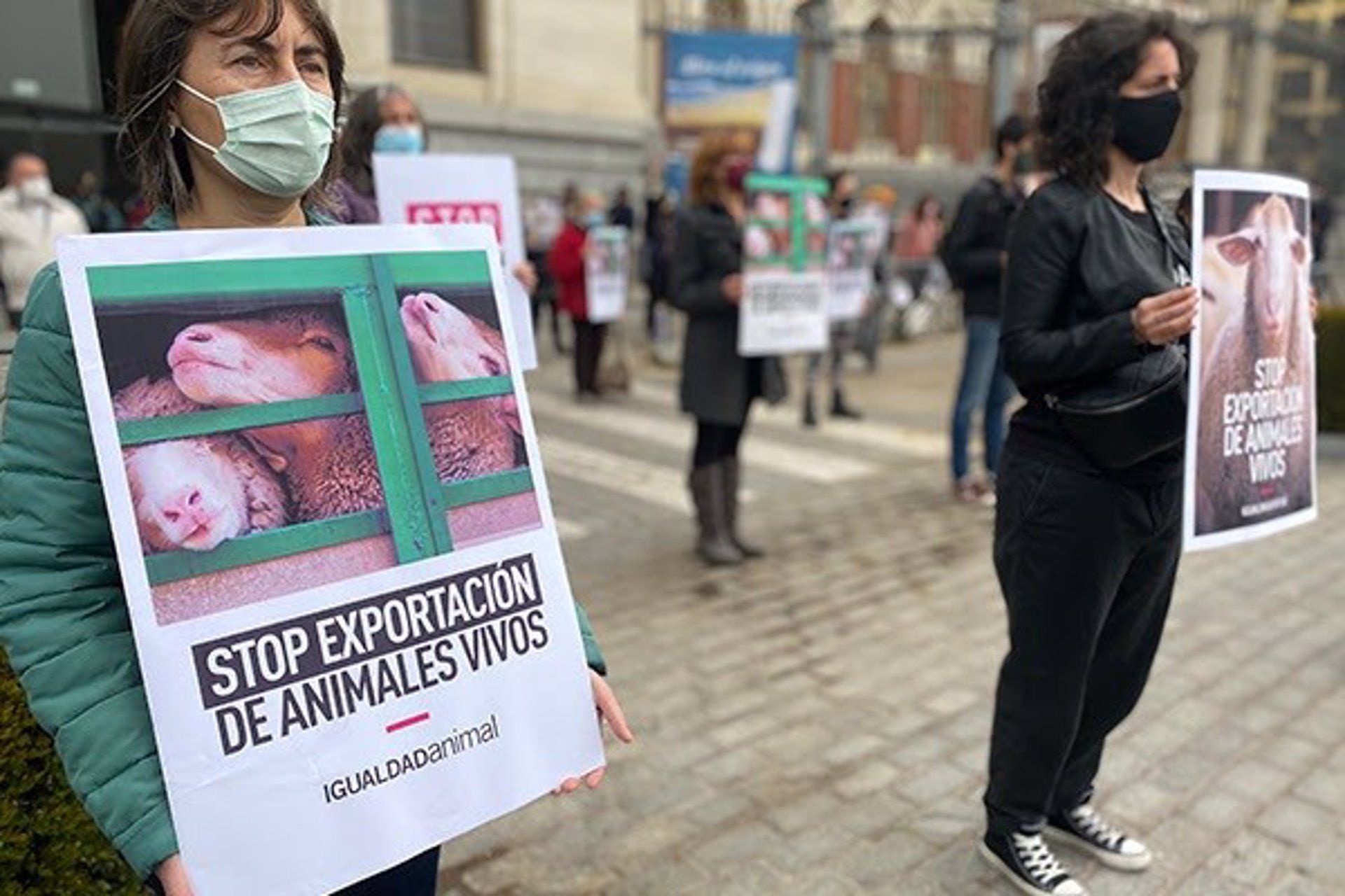 Acción de Igualdad Animal frente al Ministerio de Agricultura, Pesca y Alimentación para que se prohíba la exportación de animales / Foto: EP