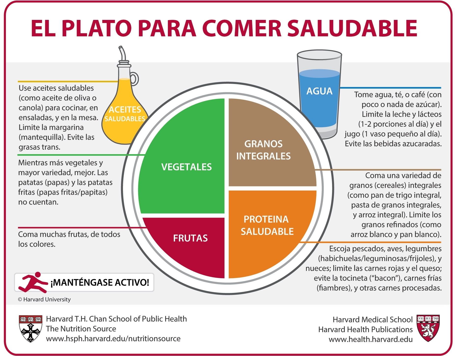 El plato de Harvard es una herramienta de educación alimentaria desarrollada por expertos en nutrición de la Escuela de Salud Pública de Harvard