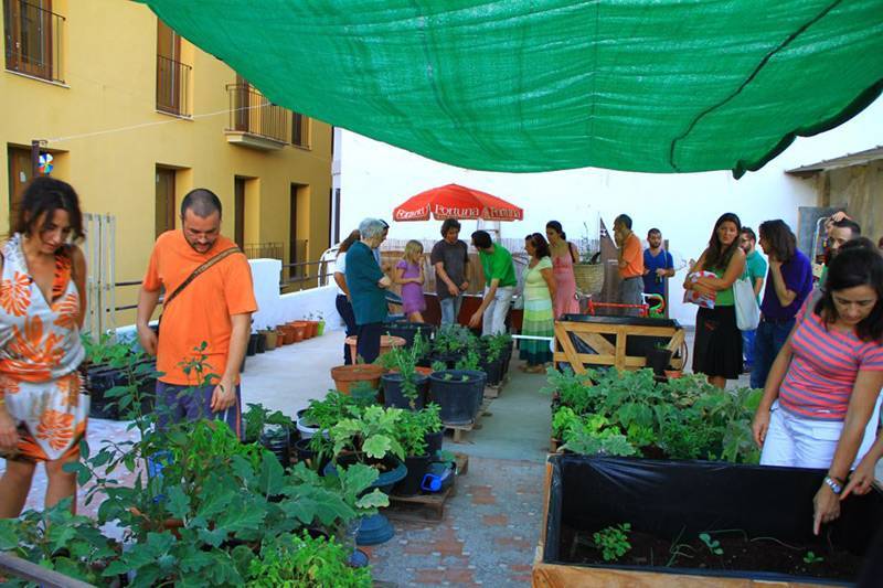 Huerto City, espacio dedicado a la agricultura ecológica urbana en Valencia / Foto: Red Sostenible y Creativa