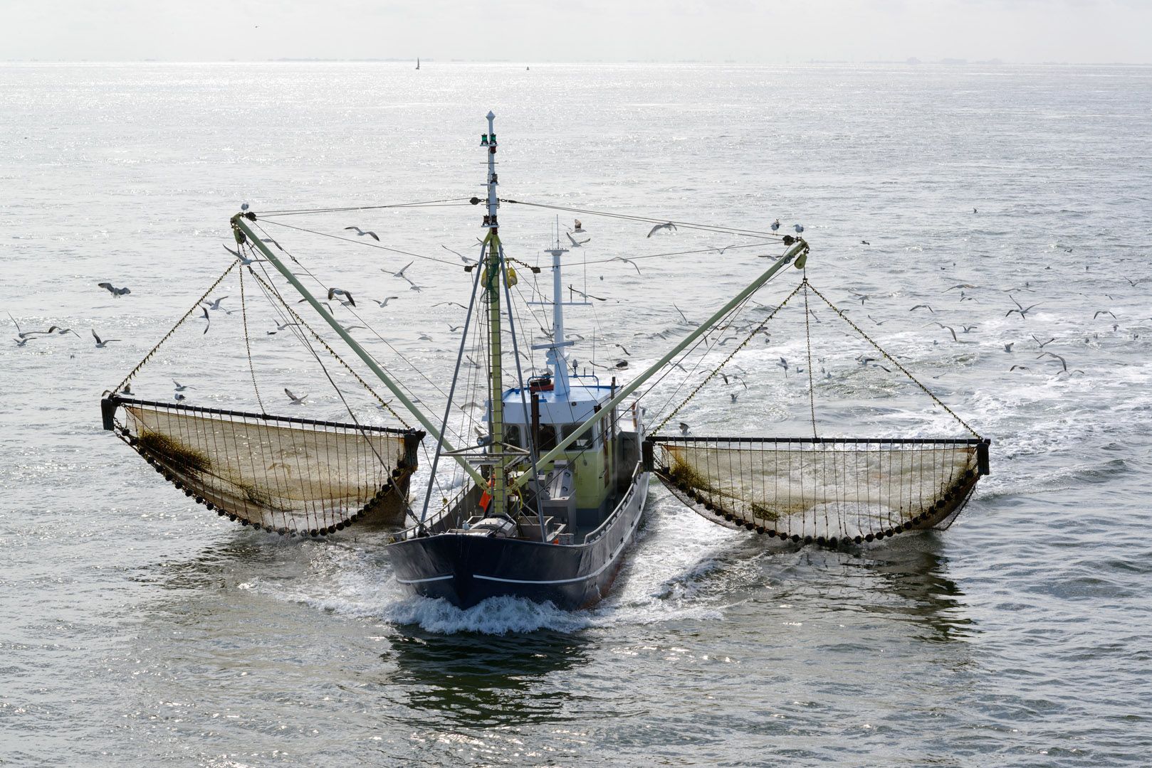 Pesca eléctrica, estará prohibida en aguas comunitarias / Foto: UE