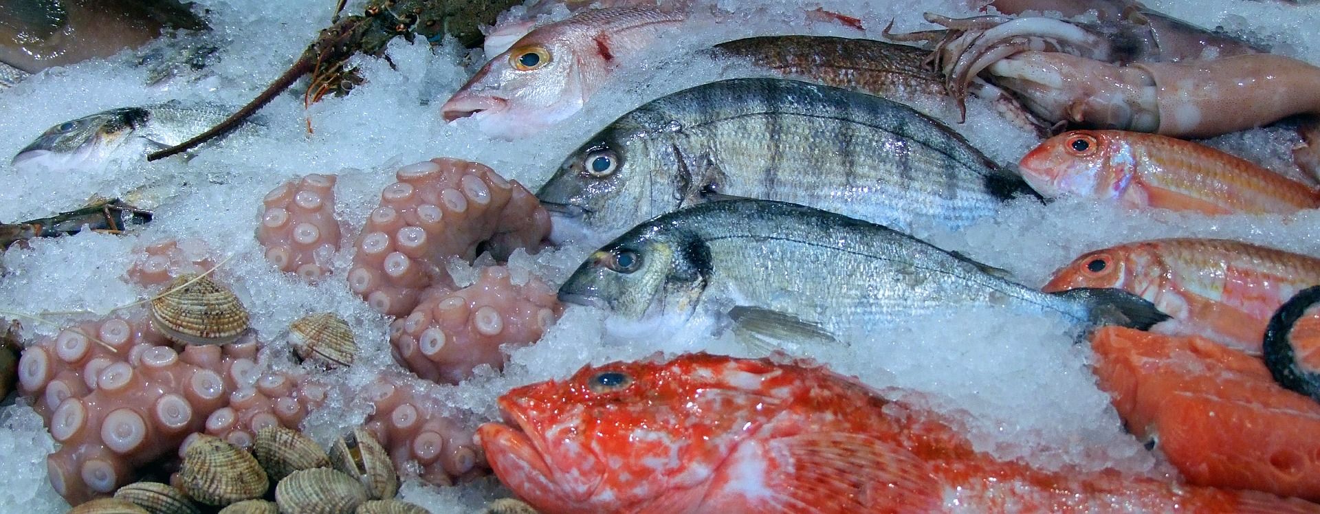 Diferentes tipos de pescados en una parada de mercado / Foto: Pixabay