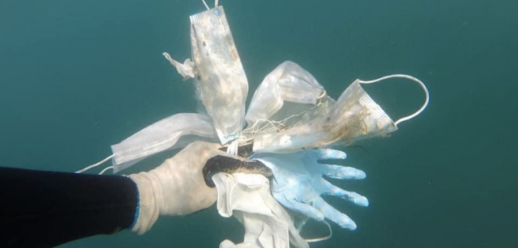 Residuos de mascarillas, guantes contra la COVID-19 recogidos del fondo marino / Foto: LMP