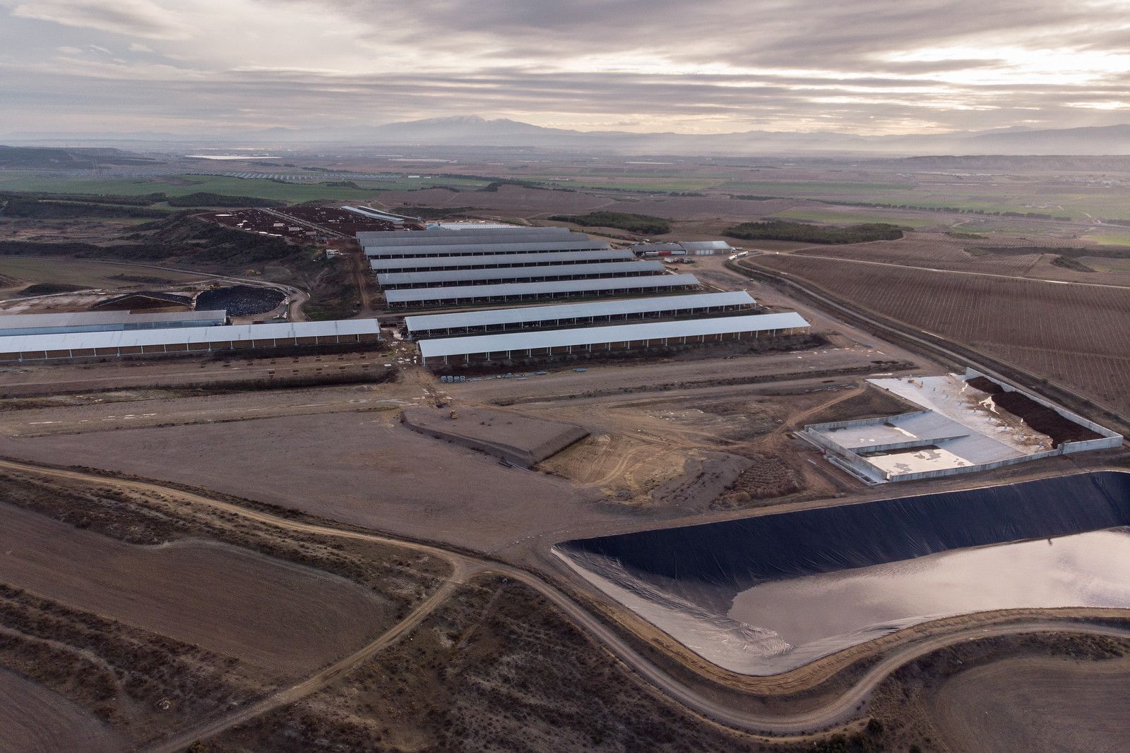 La de Caparroso es una de las muchas macrogranjas que existen en España / Foto: Greenpeace