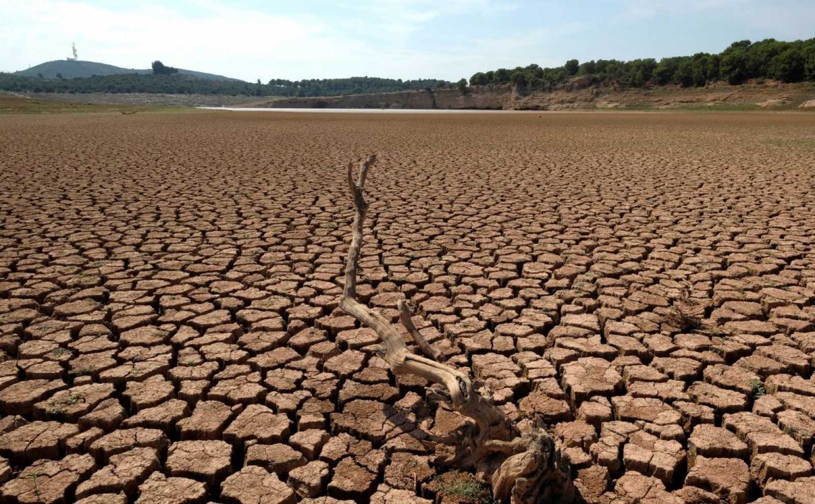 España, una región “crítica” a causa del cambio climático / Imagen: Pixabay