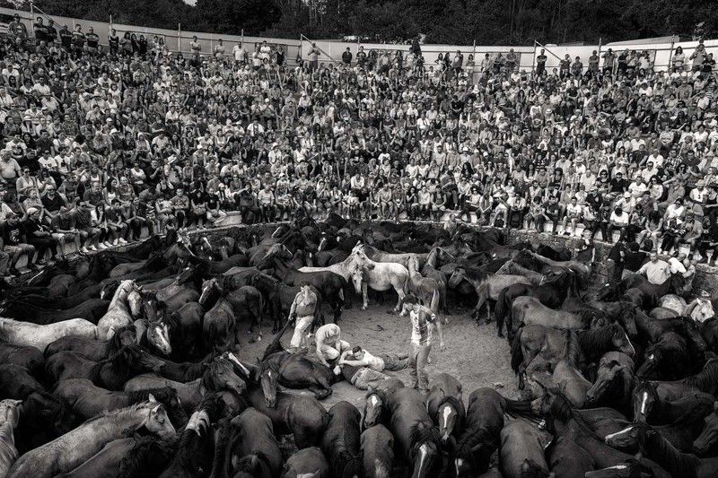 Una multitud llena las gradas que rodean el 'curro' o corral donde se marca y rapa a los animales / Foto: Javier Arcenillas