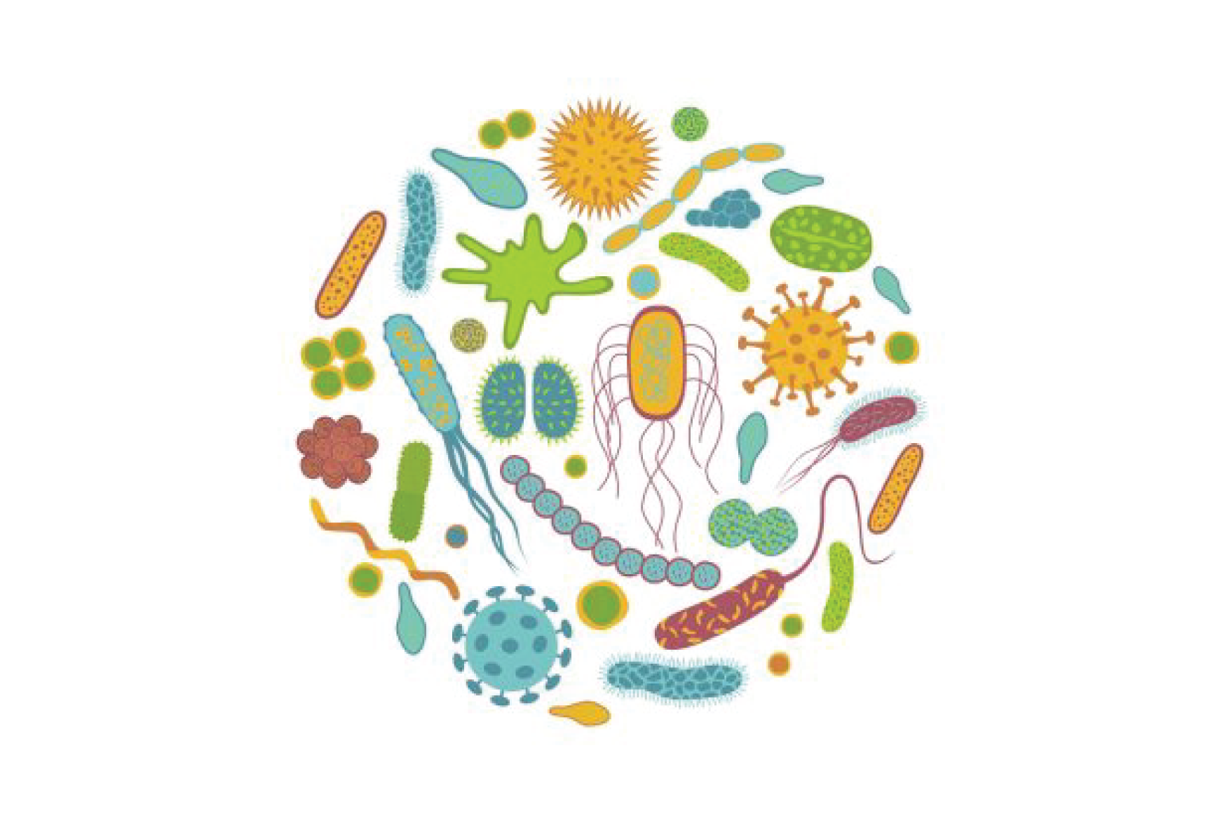 La microbiota al igual que tu huella dactilar, es única / Imagen: Wikipedia