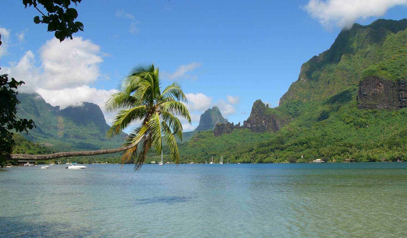 La huella humana. Bahía de Cook, situada en Moorea (Polinesia Francesa) / Foto: SINC