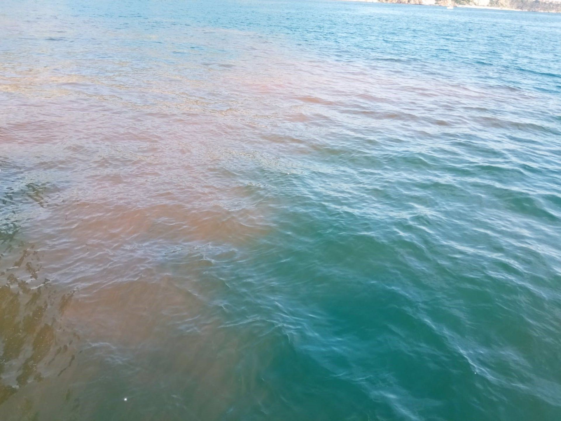 Vertido en aguas de la Bahía de Algeciras / Foto: EP