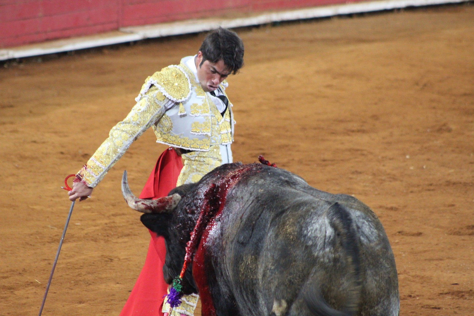 Medio centenar de personas antitaurinas exigen el fin de la feria taurina / Foto: EP