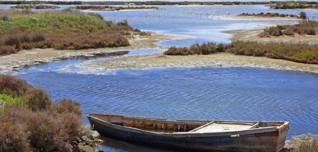 Una barca en primer plano con flamencos de fondo en una marisma en el Delta del Ebro, Tarragona (Catalunya) / Foto: Marc Pascual - Pixabay Una barca en primer plano con flamencos de fondo en una marisma en el Delta del Ebro, Tarragona (Catalunya) / Foto: Marc Pascual - Pixabay