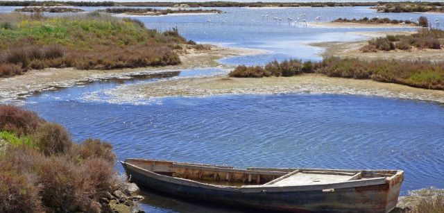 Una barca en primer plano con flamencos de fondo en una marisma en el Delta del Ebro, Tarragona (Catalunya) / Foto: Marc Pascual - Pixabay