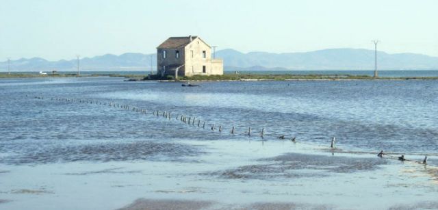 Vistas del Parque Regional Salinas y Arenales de San Pedro del Pinatar, un Espacio Natural Protegido de la Región de Murcia / Foto: Wikimedia Vistas del Parque Regional Salinas y Arenales de San Pedro del Pinatar, un Espacio Natural Protegido de la Región de Murcia / Foto: Wikimedia