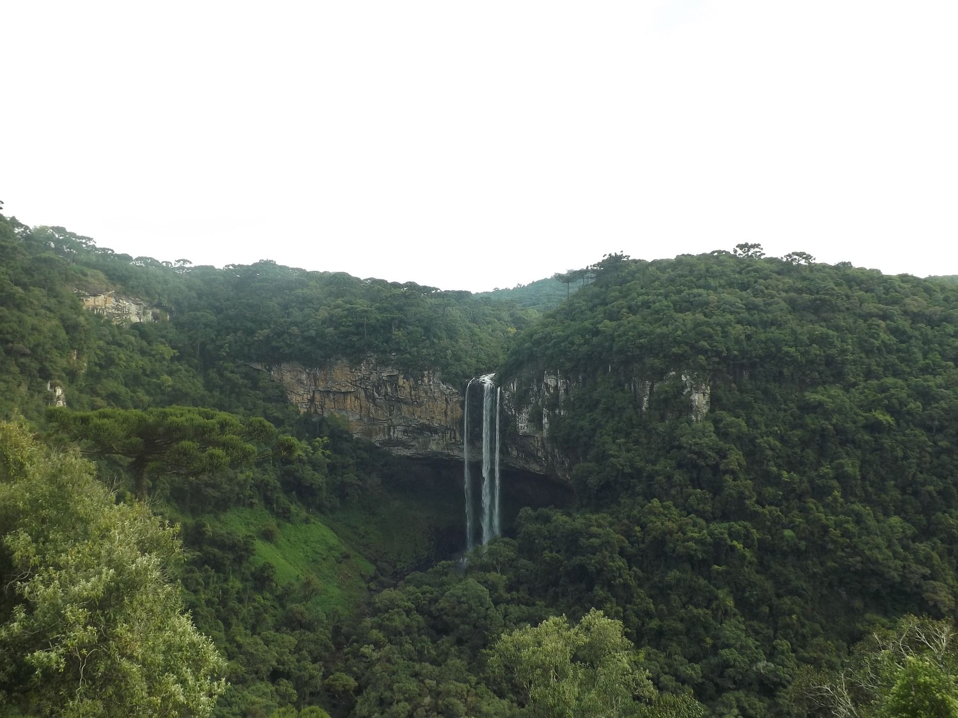 Selva africana  frena el cambio climático / Foto: Pedro D. F. - Pixabay