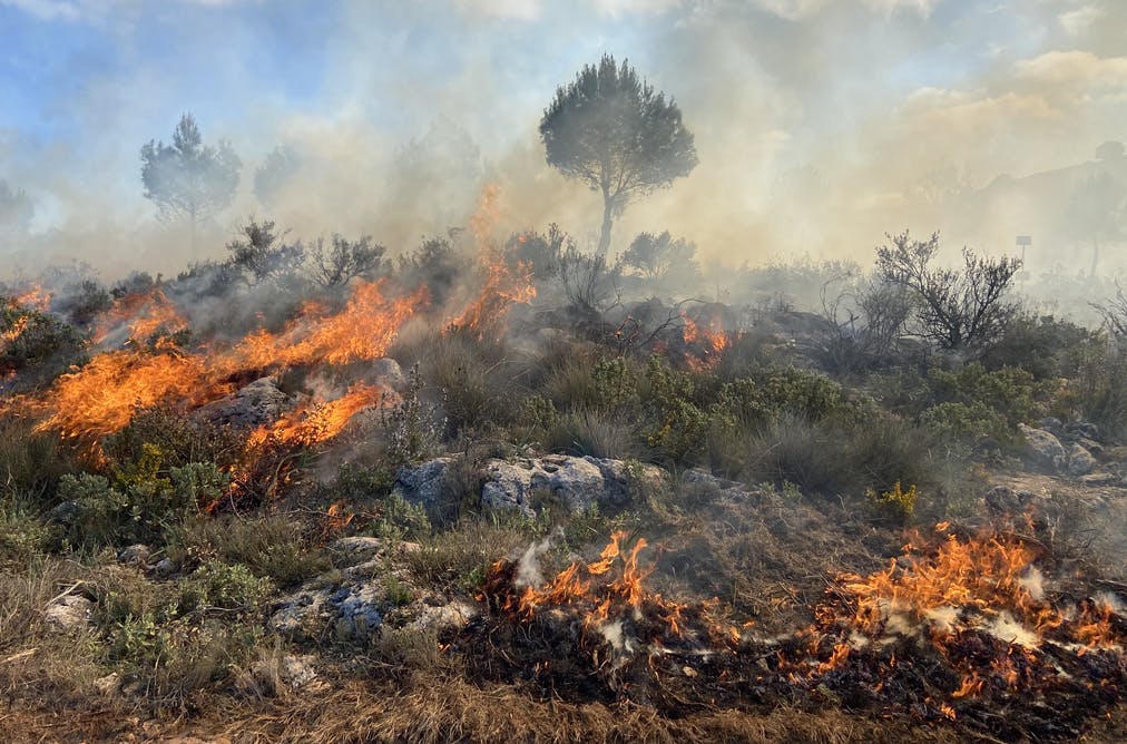 Fuego en un matorral mediterráneo. Animales e incendios / Foto: Lola Álvarez - The Conversation