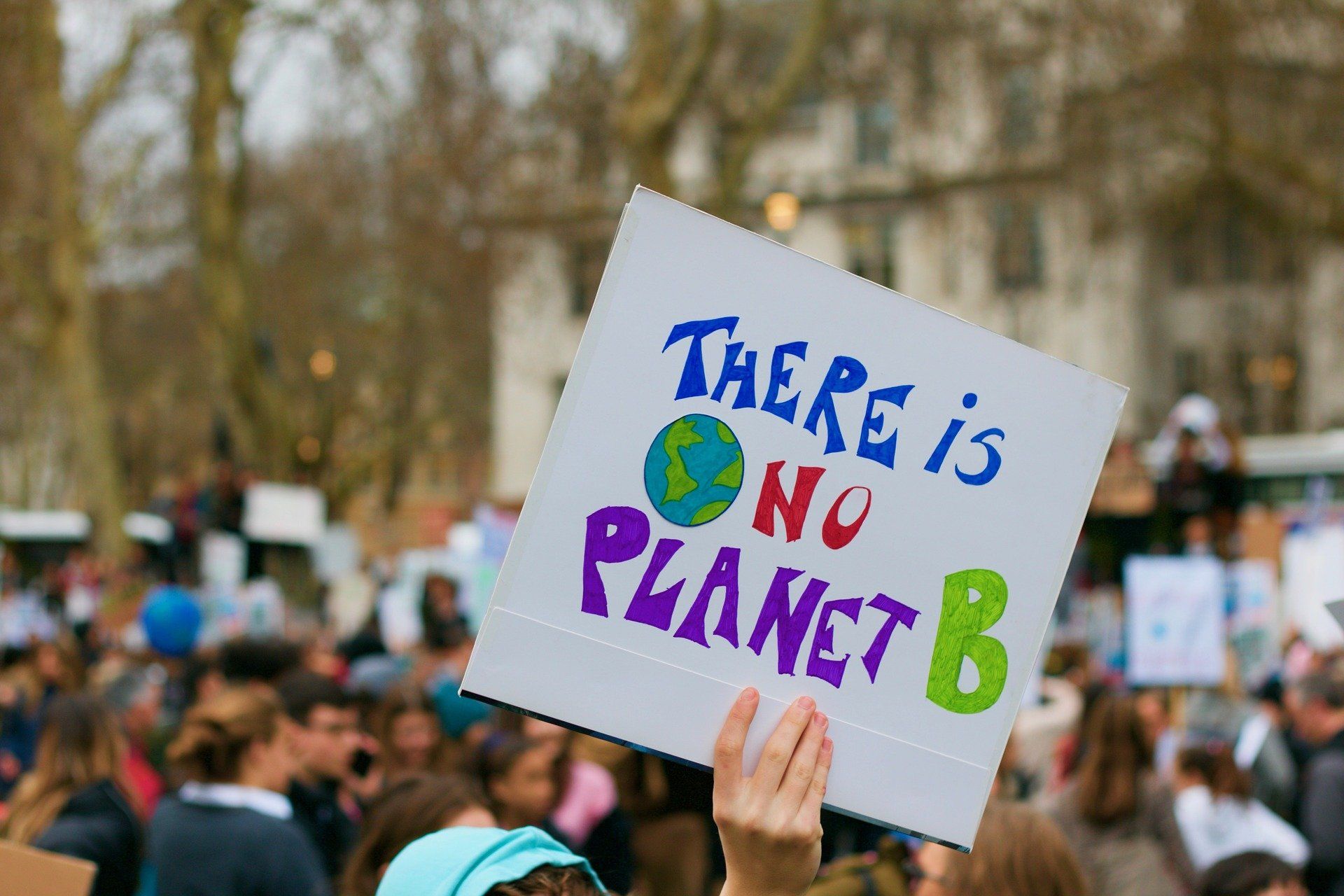 Un cartel defensa del medio ambiente en un protesta en Londres, Reino Unido. Activistas medioambientales / Foto: Kevin Snyman - Pixabay