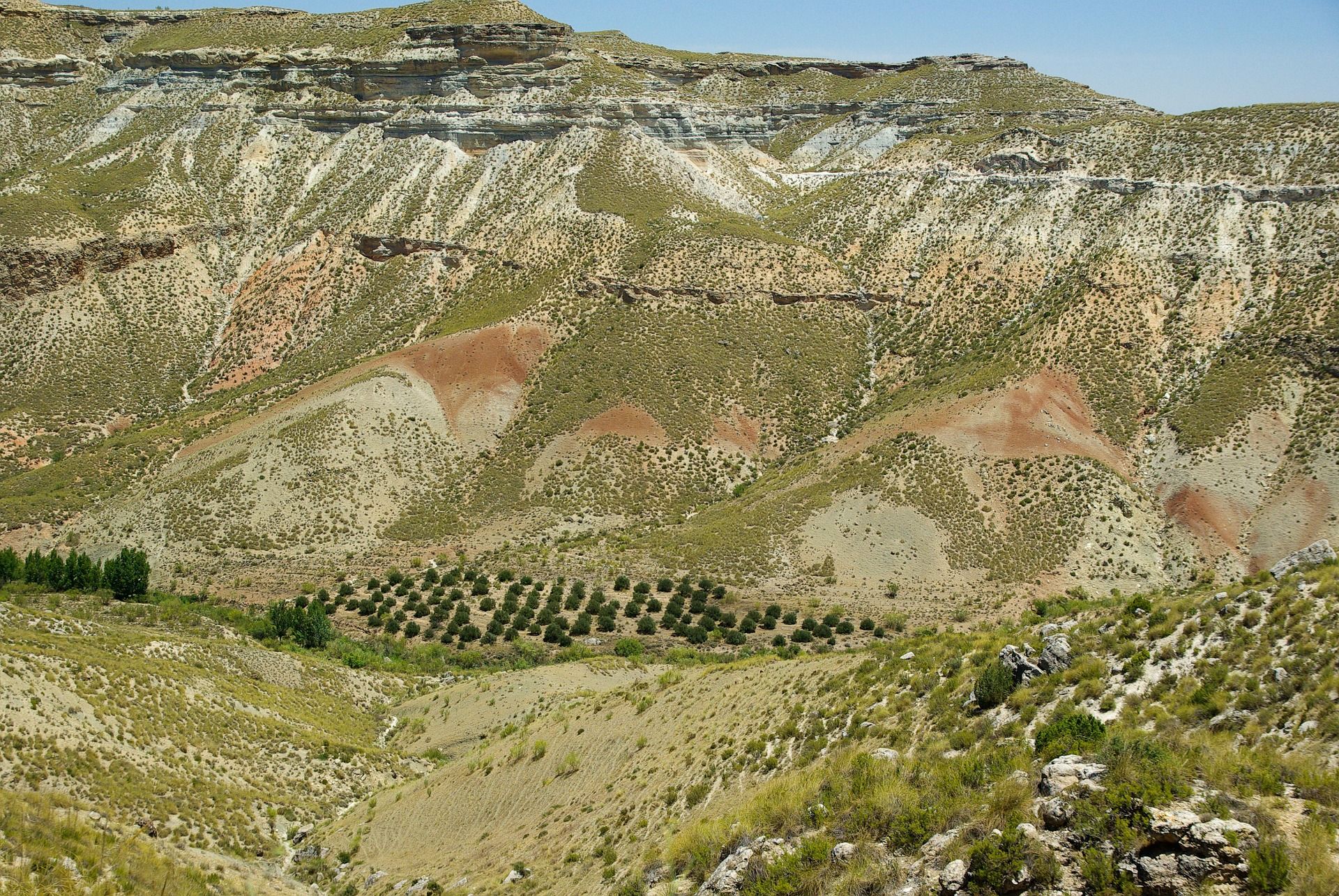 Vistas de una zona árida en Andalucia, España. Cambio climático / Foto: Jacqueline Macou - Pixabay