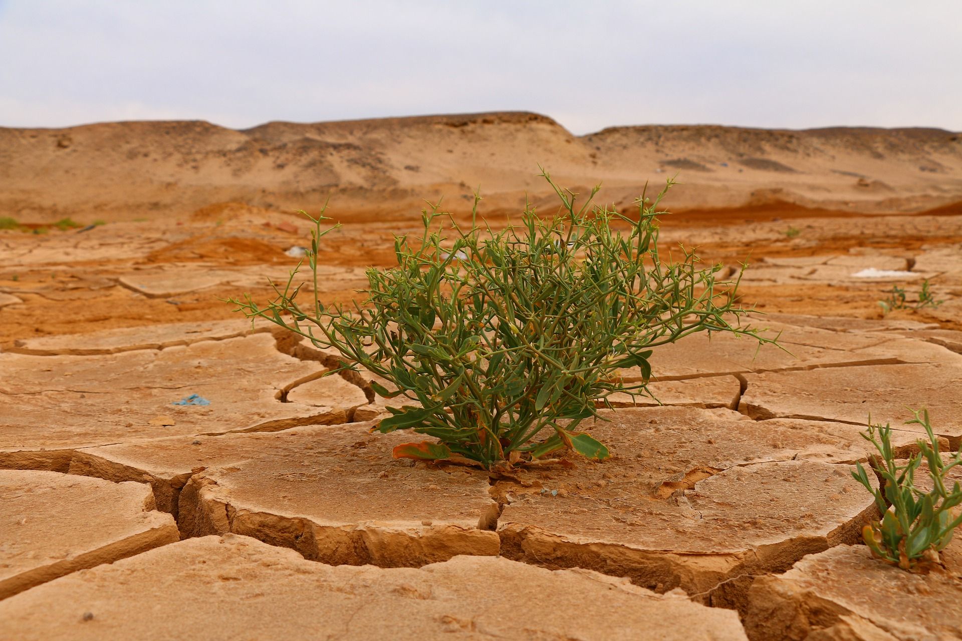 Ley del Cambio Climático / Foto: Pixabay