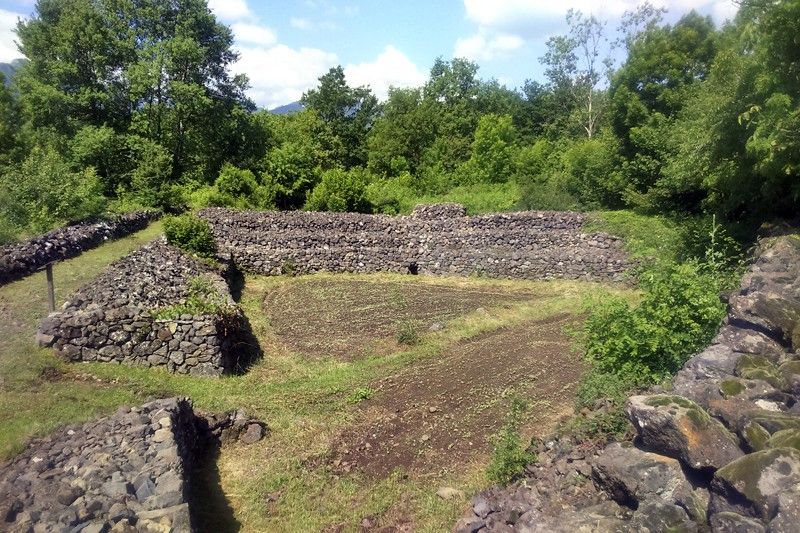 Una artiga, terreno agrícola ganado a la arboleda y a los conos volcánicos, en el Bosc de Tosca / Foto: FFM - EA Una artiga, terreno agrícola ganado a la arboleda y a los conos volcánicos, en el Bosc de Tosca / Foto: FFM - EA