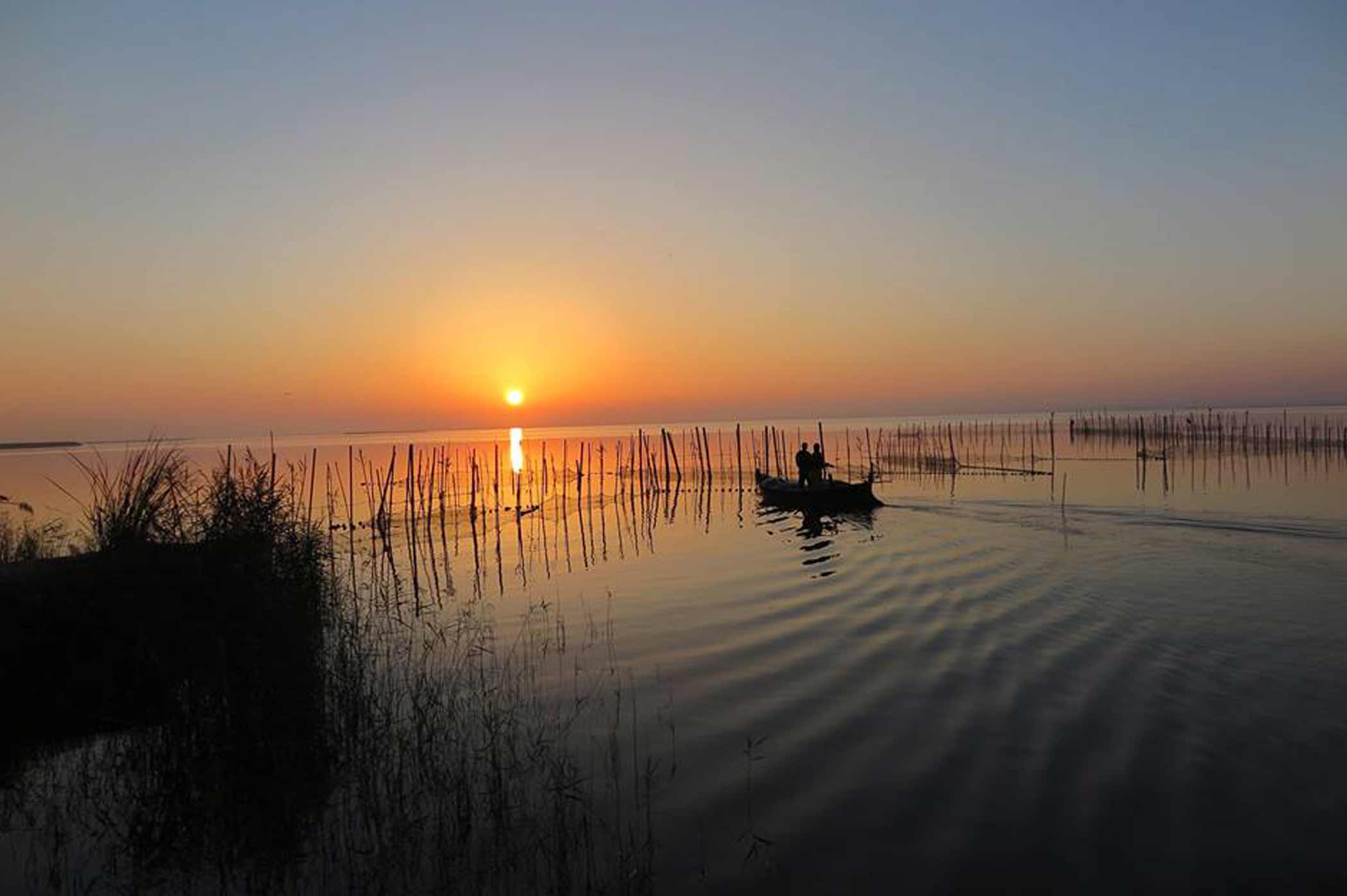 Parque Natural de la Albufera / Foto: Wikipedia