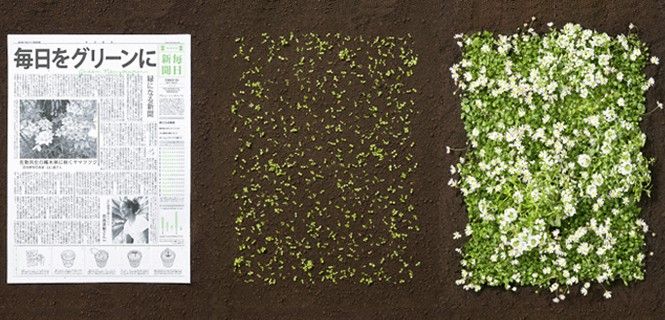 Diferentes fases del proceso que convierte el periódico en un pequeño jardín / Foto: yoshinakaono.com