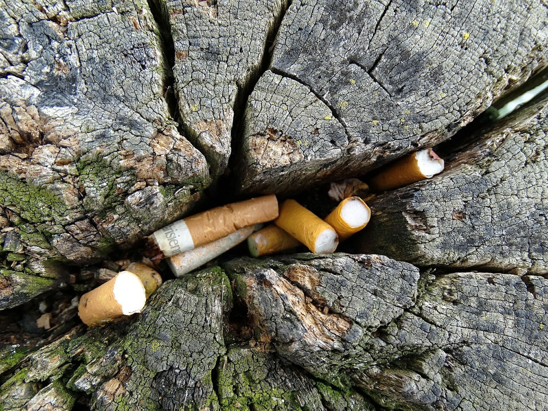 Colillas, un residuo tóxico / Foto: Hebi B. - Pixabay