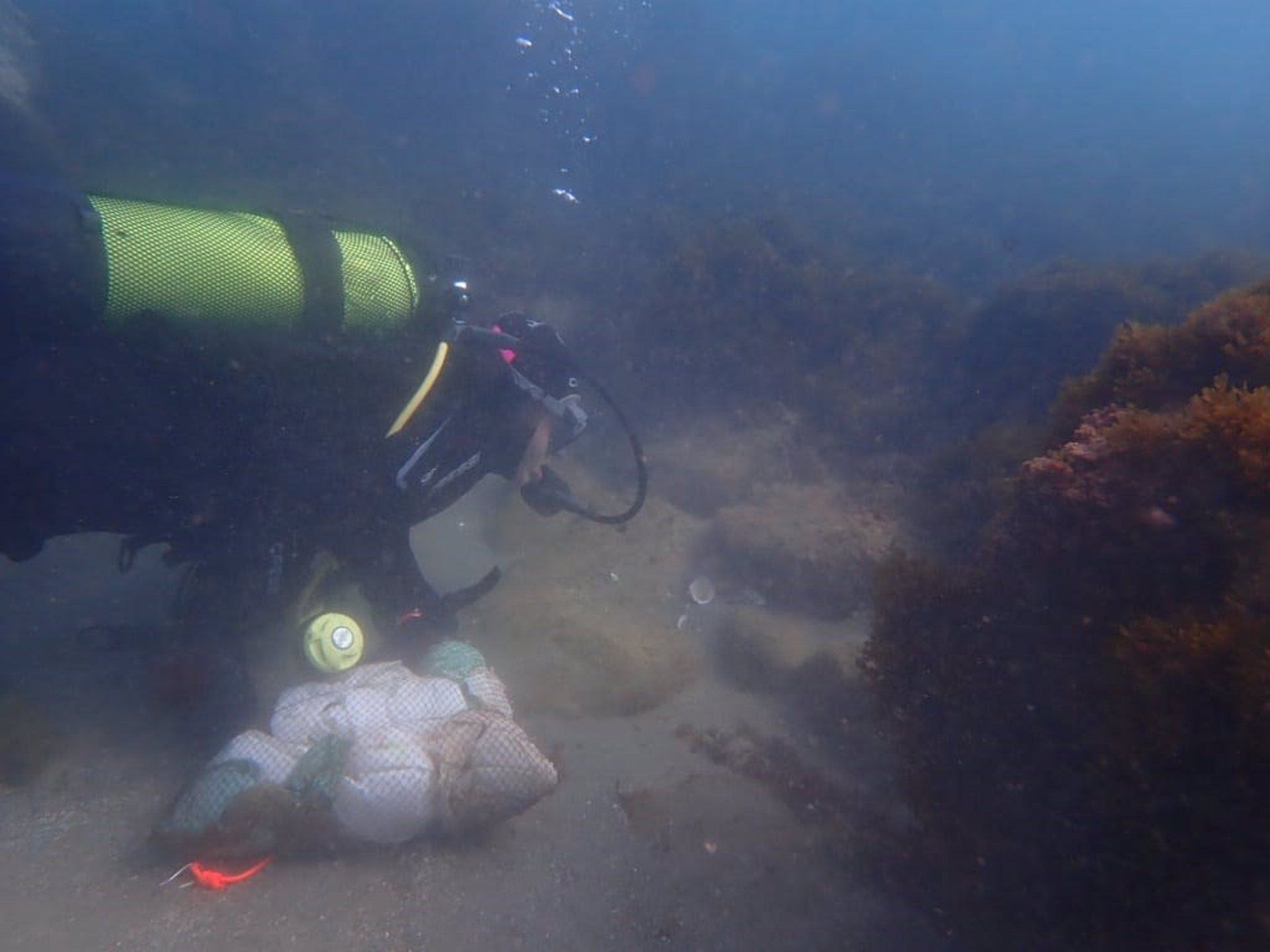 Limpieza de basuras en los fondos marinos y los océanos / Foto: EP