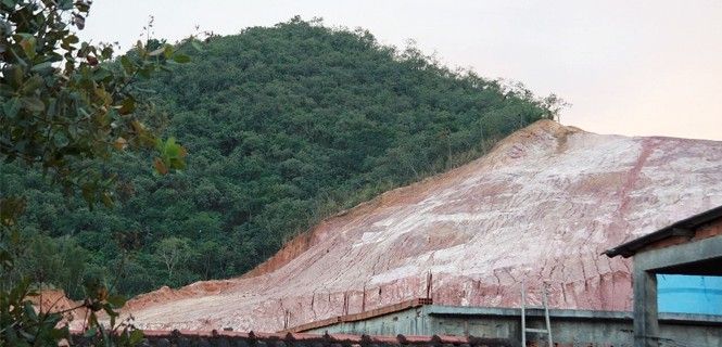 La selva pierde terreno en Brasil / Foto: EP - Alex Rio - Wikipedia