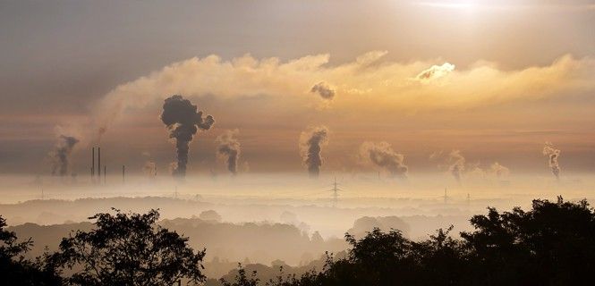 El objetivo es disminuir los riesgos sanitarios y el impacto medioambiental / Foto: Foto-Rabe